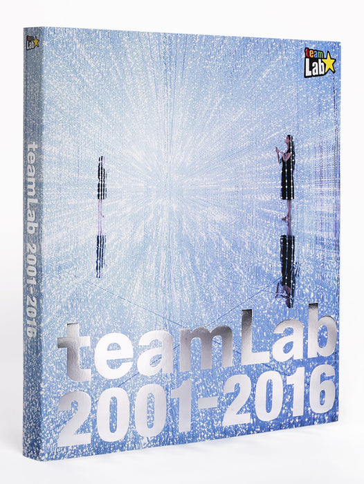 Team Lab 2001-2016