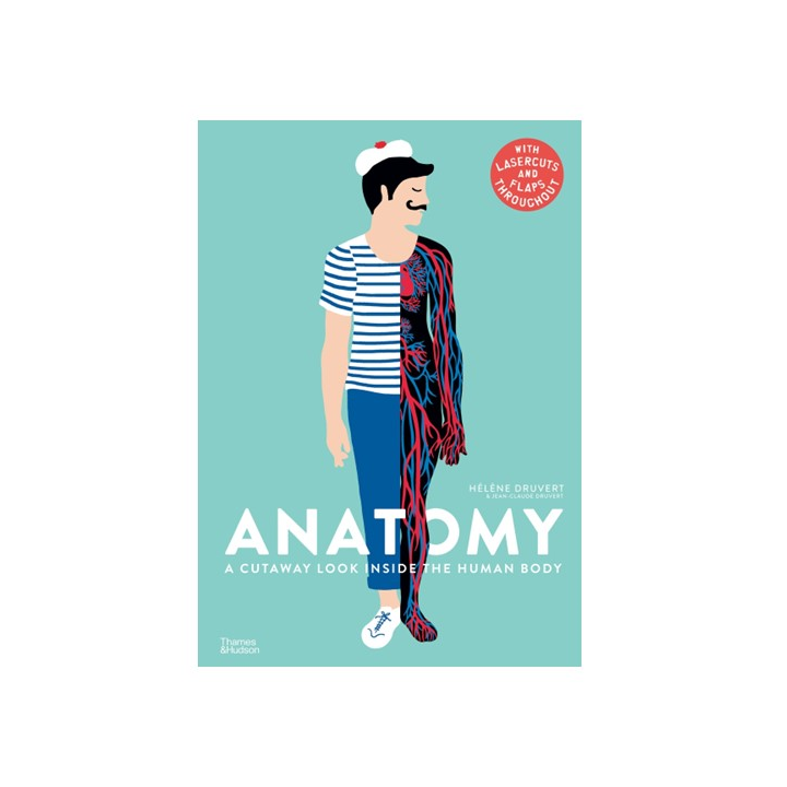 Anatomy A Cutaway Look Inside the Human Body - ON SALE